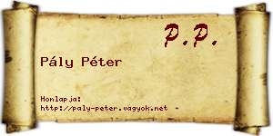 Pály Péter névjegykártya