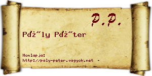 Pály Péter névjegykártya